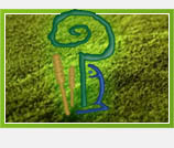 Programi i mjere MPS-a