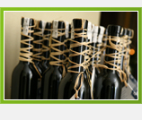 Zagrebačka Noć plavca maloga