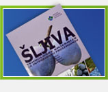 Integralna proizvodnja šljiva