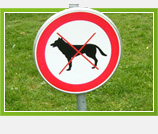 Zakoni su da se krše?!